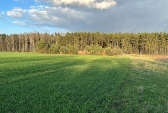 Działka Sprzedam dolnośląskie Trzebnica -1