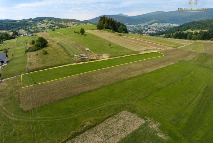 Działka na sprzedaż w Jordanów Jordanów Toporzysko o powierzchni 1587 mkw