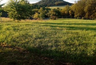 Działka na sprzedaż Jeżów Sudecki  826415