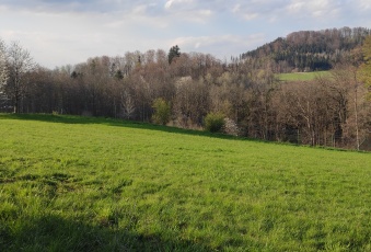 Działka Sprzedam dolnośląskie Jeżów Sudecki Jeżów Sudecki-2