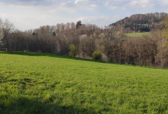 Działka Sprzedam dolnośląskie Jeżów Sudecki Jeżów Sudecki-2