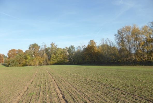 Działka na sprzedaż w Dobra (Szczecińska)  BUK o powierzchni 816 mkw