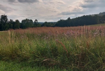 Działka na sprzedaż Wysoka  826822