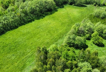 Działka Sprzedam podkarpackie Kołaczyce -1