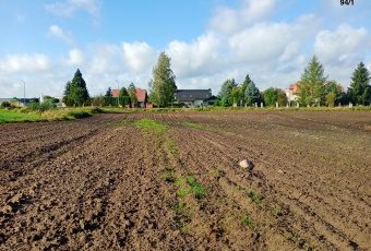 Działka Sprzedam warmińsko-mazurskie Iława -2