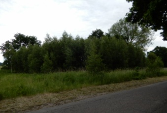 Działka na sprzedaż Stara Dąbrowa  826912