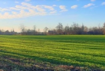 Działka na sprzedaż Kozłowo  827081