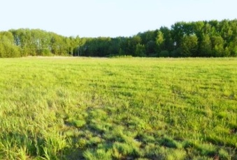 Działka na sprzedaż Duchnów  827137