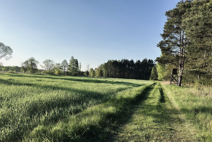 Działka na sprzedaż w Trzebnica  Leśna , Jaźwiny o powierzchni 1368 mkw