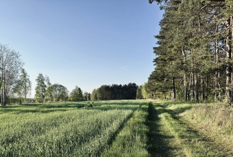 Działka Sprzedam dolnośląskie Trzebnica -1