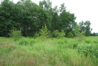 Działka Sprzedam małopolskie Czernichów Przeginia Narodowa-2