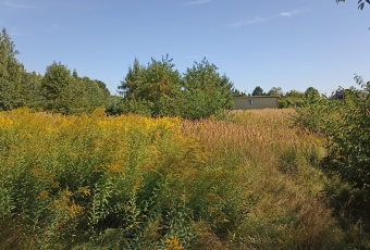 Działka na sprzedaż Ruda Śląska  827619