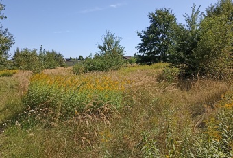 Działka Sprzedam śląskie Ruda Śląska Kłodnica-1