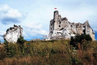 Działka Sprzedam śląskie Włodowice Rzędkowice-2