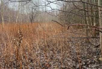 Działka na sprzedaż Warszawa  827913