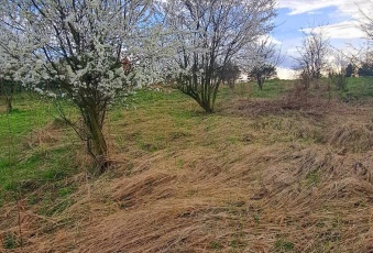 Działka Sprzedam małopolskie Liszki Czułów-2