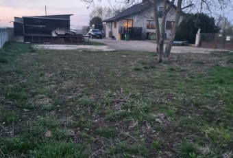 Dom na sprzedaż Żychlin  827975