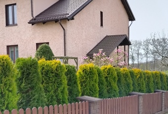 Dom na sprzedaż Iława  828029