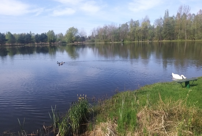 Działka na sprzedaż w Jaworzno Jeleń  o powierzchni 3276 mkw