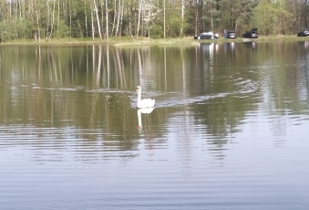 Działka Sprzedam śląskie Jaworzno Jeleń-3