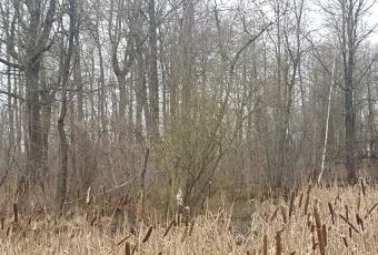 Działka na sprzedaż Nowy Tomyśl  828116