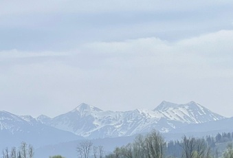 Działka na sprzedaż Czarny Dunajec  828261