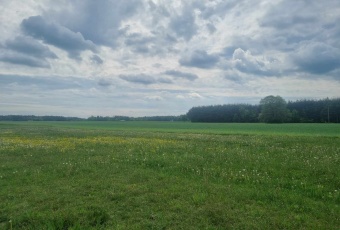 Działka Sprzedam mazowieckie Węgrów Węgrów-2