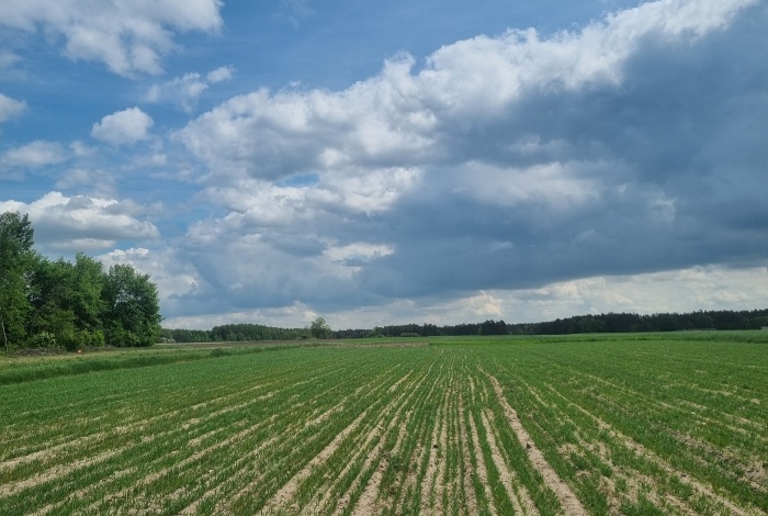 Działka na sprzedaż w Węgrów Węgrów Miodowa o powierzchni 1200 mkw