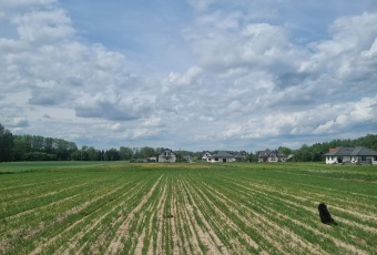 Działka Sprzedam mazowieckie Węgrów Węgrów-3