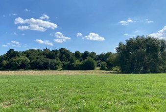 Działka Sprzedam mazowieckie Góra Kalwaria -2