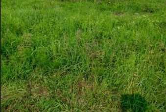 Działka na sprzedaż Iwierzyce  828654