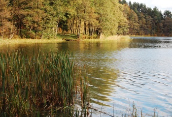 Działka na sprzedaż Stare Juchy  828719