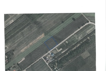 Działka na sprzedaż Janowiec  828736