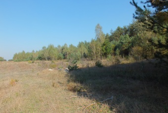 Działka na sprzedaż Winnica  828874