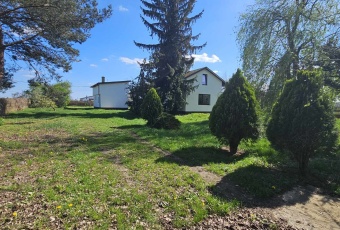 Dom na sprzedaż Młodzieszyn  828894