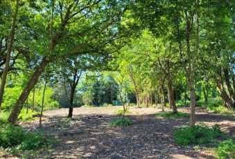 Działka na sprzedaż Brwinów  829261