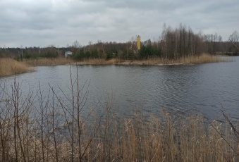 Działka na sprzedaż Strzegowo  829430