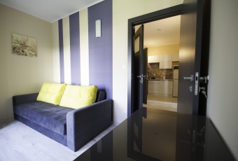 Komercja na wynajem Toruń  829465