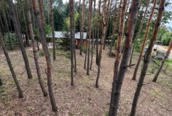 Działka na sprzedaż Jedlnia-Letnisko  829752