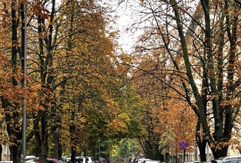 Mieszkanie na wynajem Warszawa  829613