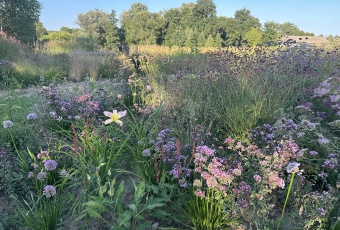 Działka na sprzedaż Joniec  829953