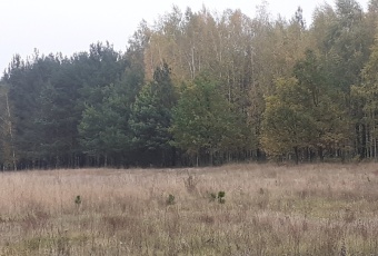 Działka Sprzedam warmińsko-mazurskie Pisz -2