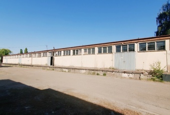 Komercja na wynajem Rzepin  830296