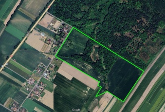 Działka na sprzedaż Pilchowice  830379