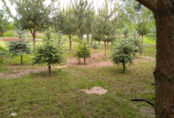 Działka na sprzedaż Stare Babice  830391