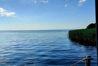 Działka na sprzedaż Trzcińsko-Zdrój  830615