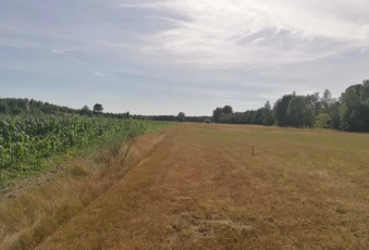 Działka na sprzedaż Grabów nad Pilicą  830671