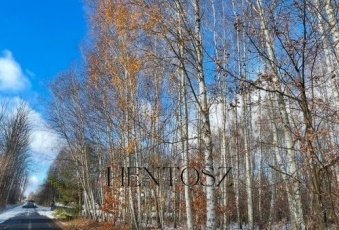 Działka na sprzedaż Żabia Wola  831087