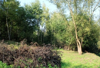 Działka na sprzedaż Gdów  831232