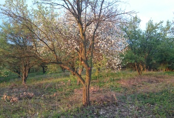 Działka na sprzedaż Iwanowice  831552